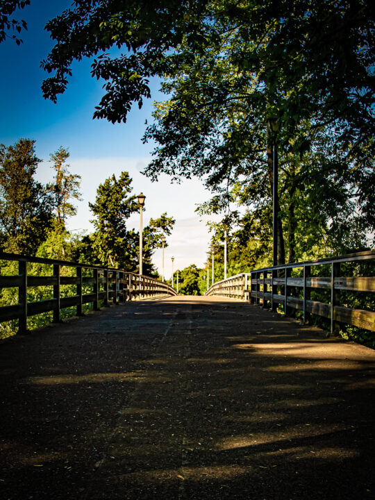 Bike Path Straight Line