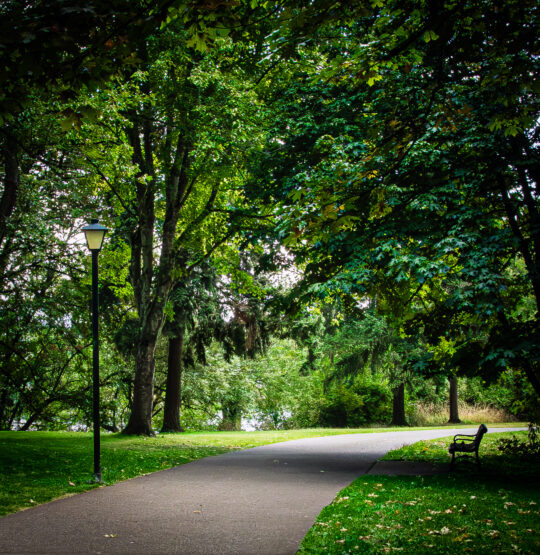 Lamp Post and Bench on Path