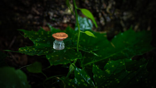Small plastic mushroom on a leaf in the rain outside